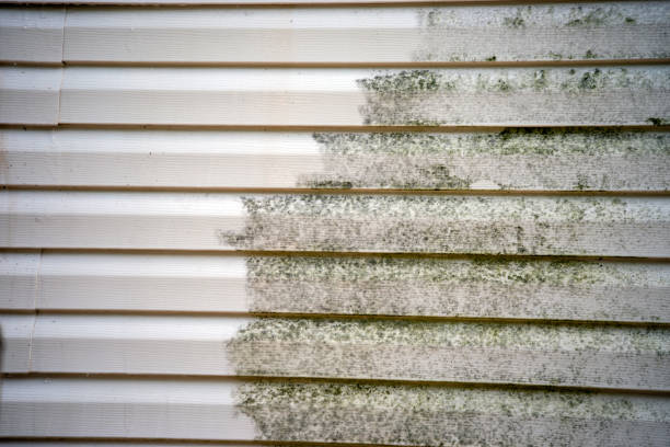  Fayetteville, AL Junk Removal Pros